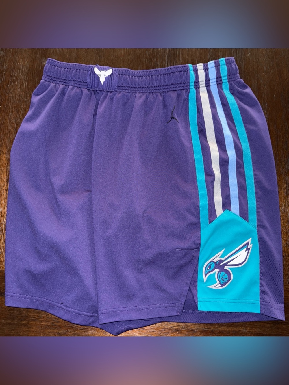 Jordan Charlotte Hornets On Court Player Shorts Nike 44 Pro Cut Game NBA Nike
